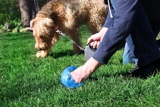 Cuando la caca de perros es un problema