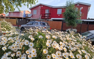 MANUAL DE USO Y MANTENIMIENTO DE LA VIVIENDA