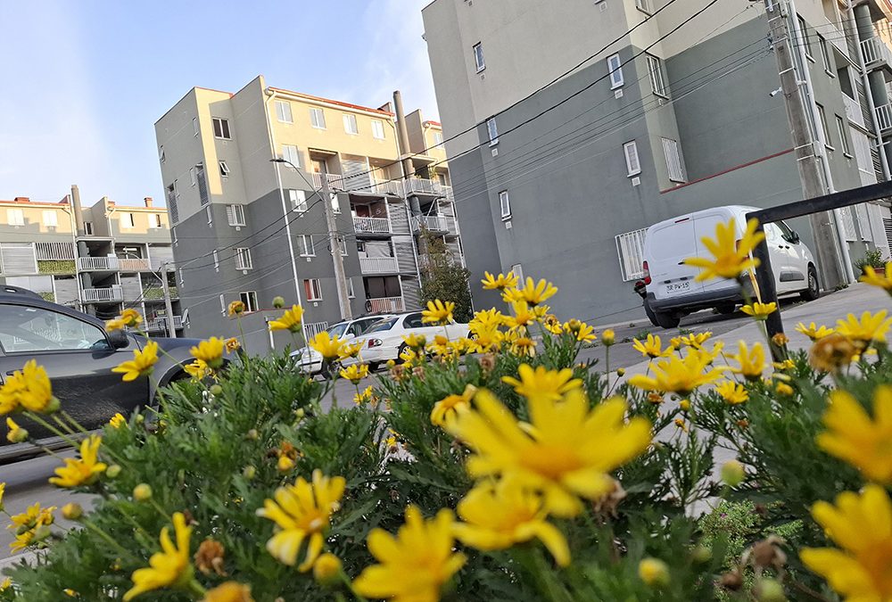 Funcionamiento de la copropiedad Inmobiliaria