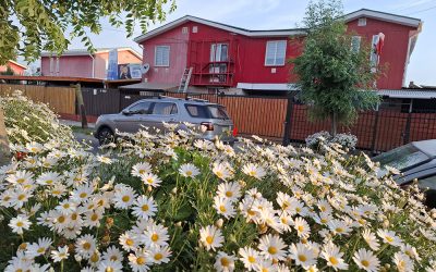 Obligaciones y prohibiciones que afectan al propietario y a la propiedad