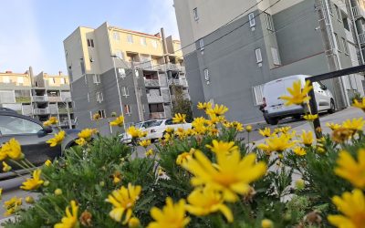 MANUAL DE USO Y MANTENIMIENTO DE LA VIVIENDA Y COPROPIEDAD